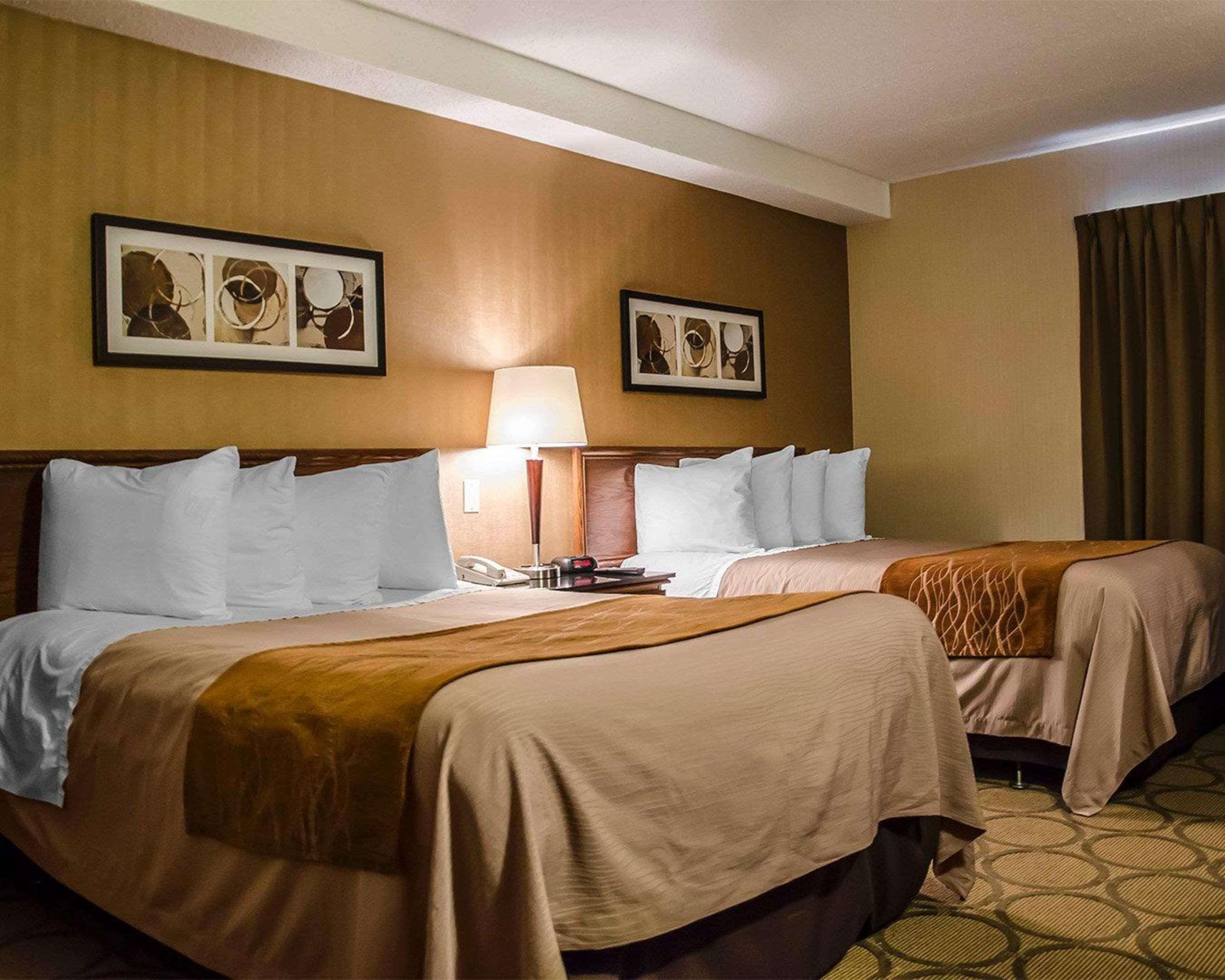 Comfort Inn South Shore Бушервіль Екстер'єр фото