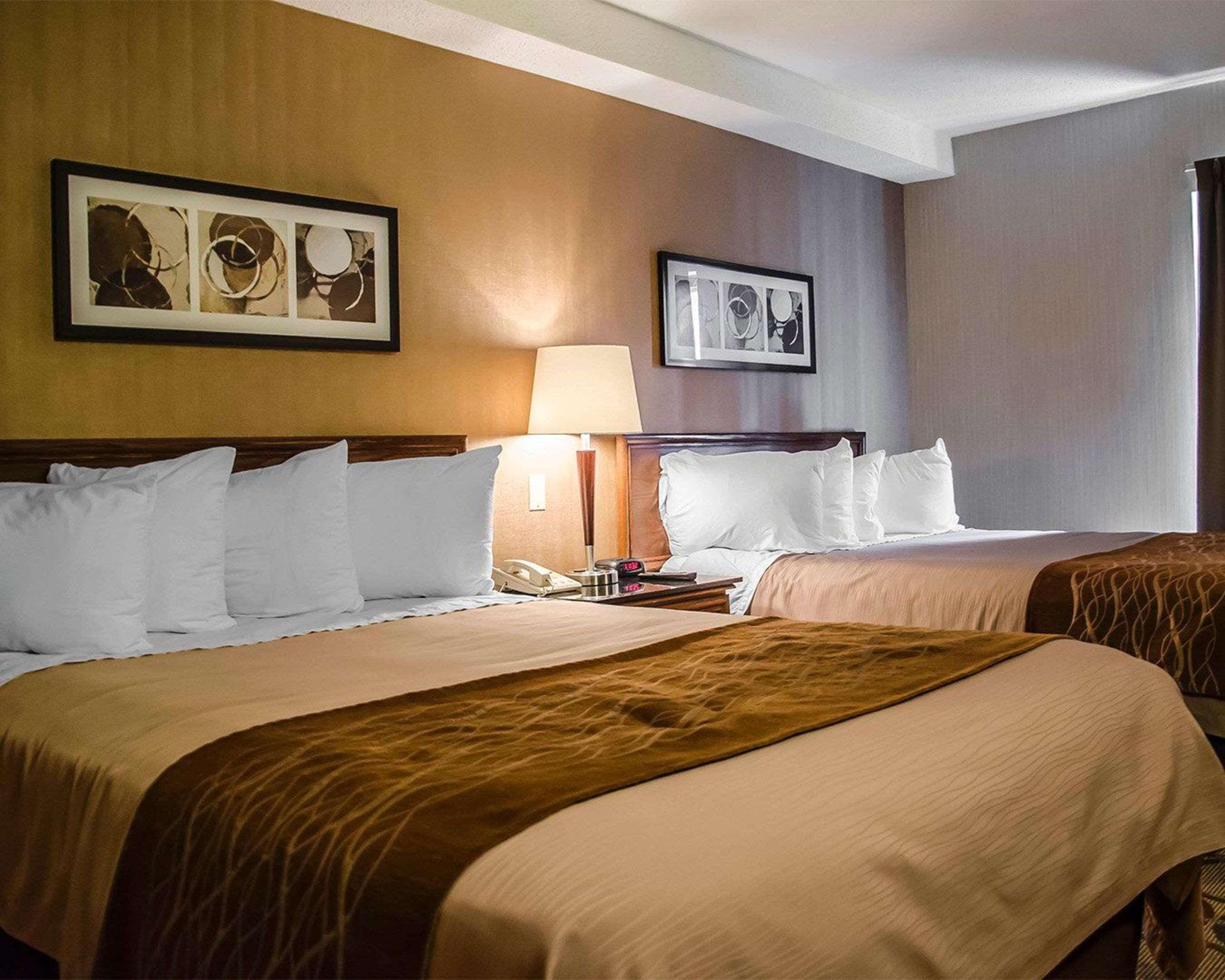 Comfort Inn South Shore Бушервіль Екстер'єр фото