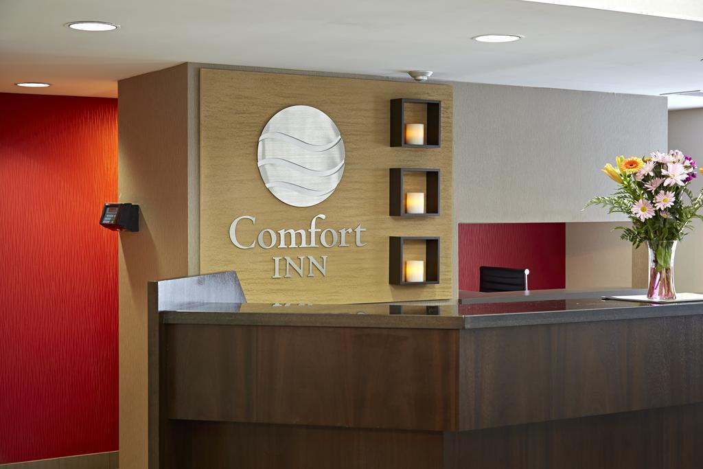 Comfort Inn South Shore Бушервіль Екстер'єр фото