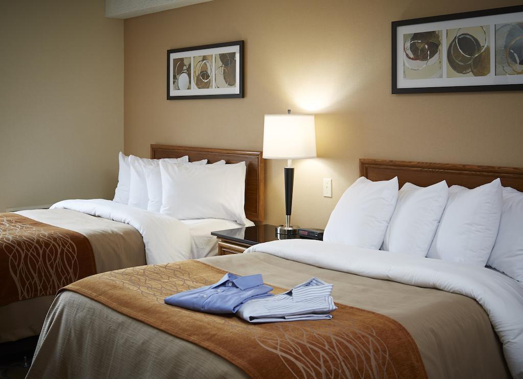 Comfort Inn South Shore Бушервіль Екстер'єр фото